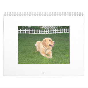 Calendrier 2008 de Mack
