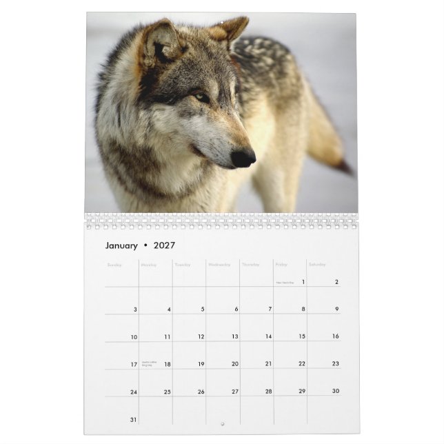 Calendrier 2009 (Jan 2027)