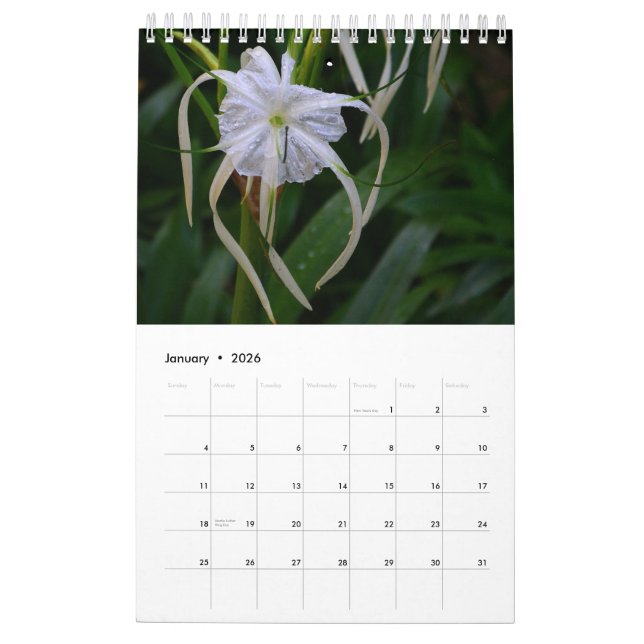Calendrier 2009 (Jan 2026)
