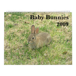 Calendrier 2009 de lapin de bébé