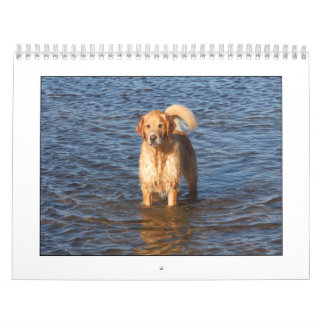 Calendrier 2009 de Mack