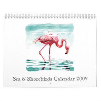 Calendrier 2009 de mer et de charadriidés