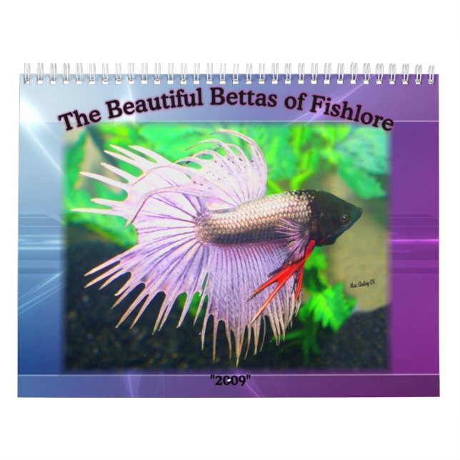Calendrier 2009 de poissons de Betta (Protection)