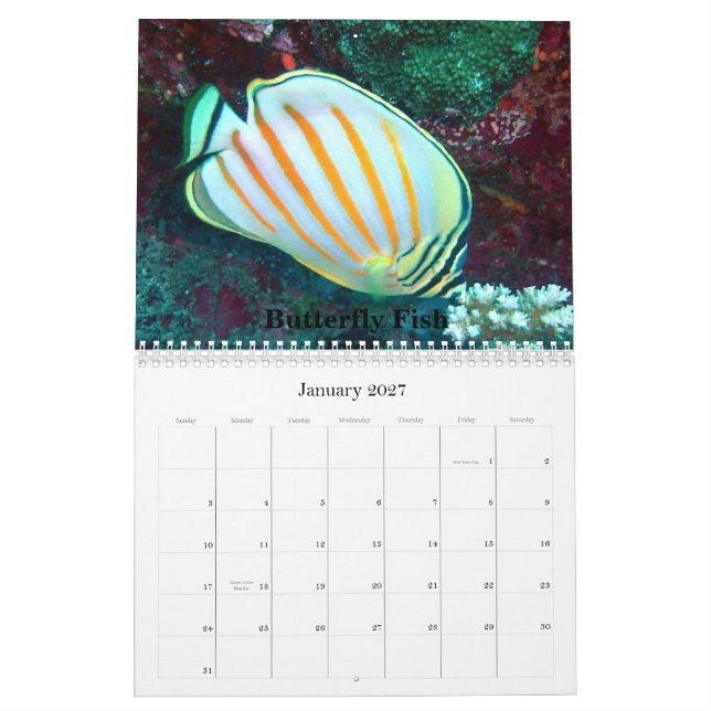 Calendrier 2009 de vie marine,… (Jan 2027)