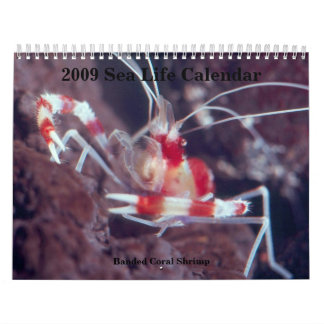 Calendrier 2009 de vie marine,…