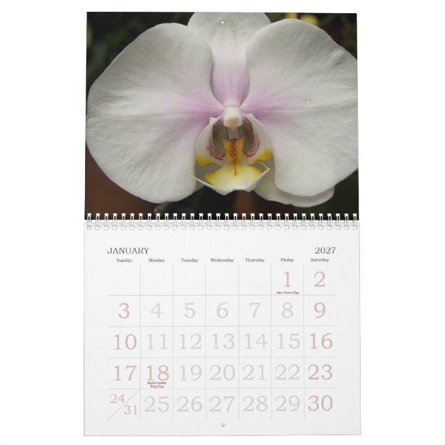 Calendrier 2009 fleurs (Jan 2027)
