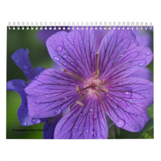 Calendrier 2009 photgraphed par Stacey Morris