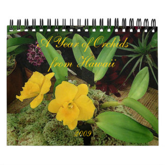 Calendrier 2009 : Une année des orchidées d'Hawaï