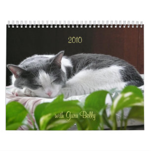 Calendrier 2010 avec le ventre de Guru