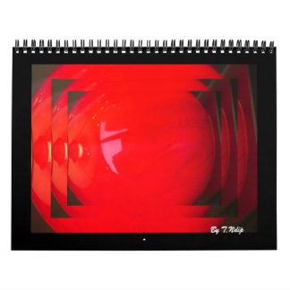 Calendrier 2010 ayant une boule