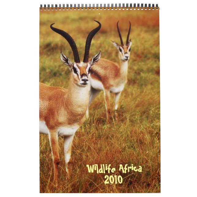 Calendrier 2010 de l'Afrique de faune - safari (Protection)