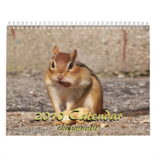 Calendrier 2010 de tamia
