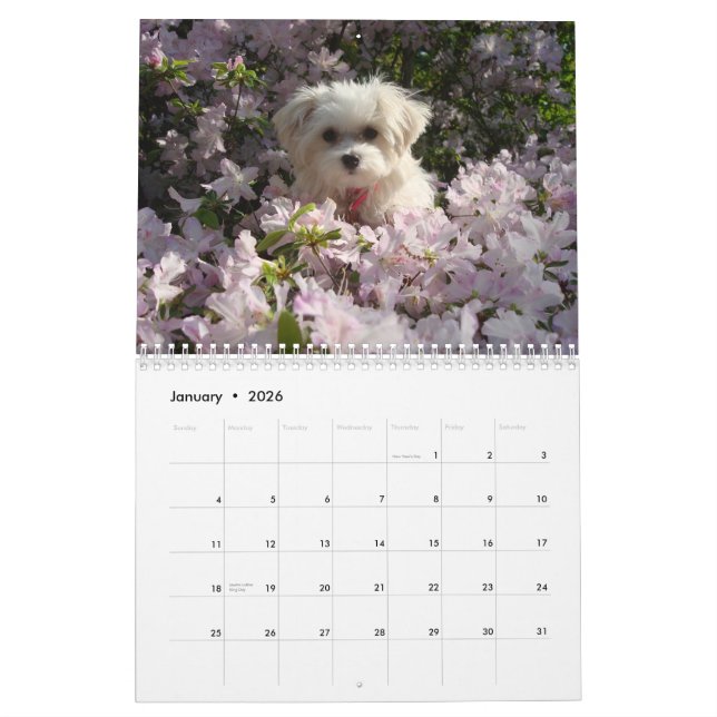 Calendrier 2010 maltais (Jan 2026)