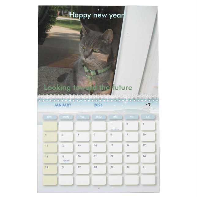 Calendrier 2010 : Une année avec des chats (Jan 2026)