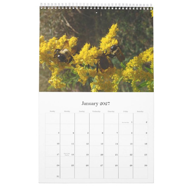 Calendrier 2011 (Jan 2027)