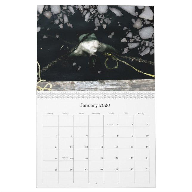 Calendrier 2011, 12 mois d'images inquiétantes par Y… (Jan 2026)