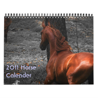 Calendrier 2011 de cheval