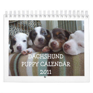 Calendrier 2011 de chiot de teckel