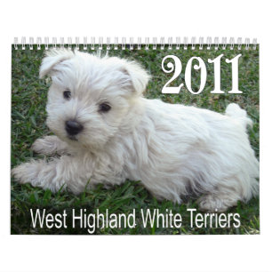 Calendrier 2011 de chiots de Terrier blanc de