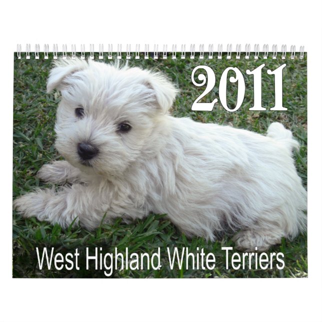 Calendrier 2011 de chiots de Terrier blanc de (Protection)