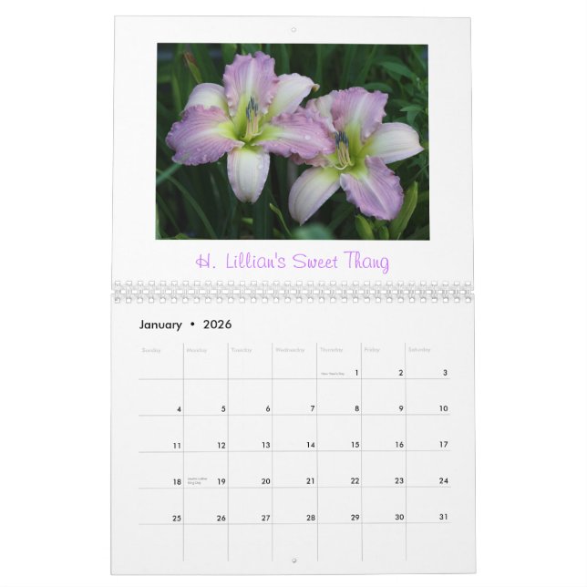 Calendrier 2011 de Daylily            … (Jan 2026)
