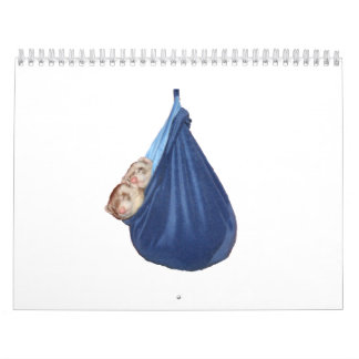 Calendrier 2011 de furet