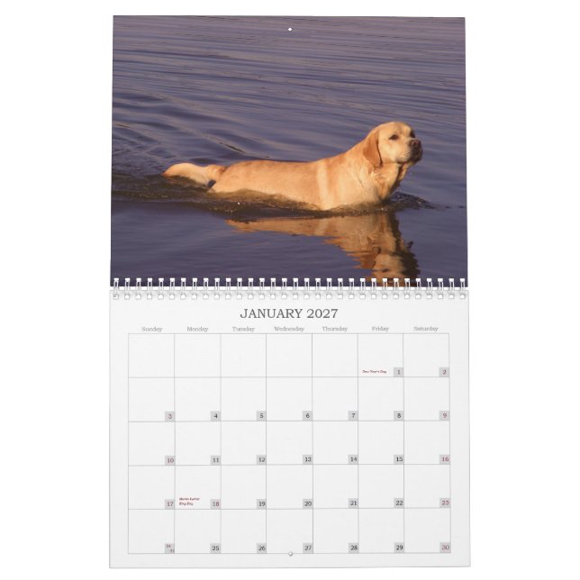 Calendrier 2011 de labrador retriever (Jan 2027)
