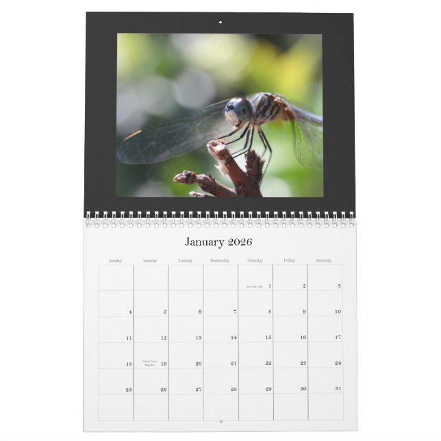 Calendrier 2011 de libellule (Jan 2026)