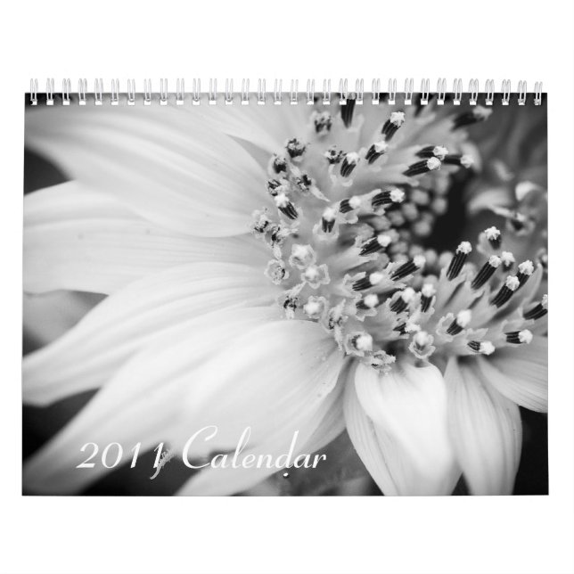 Calendrier 2011 - noir et blanc (Protection)