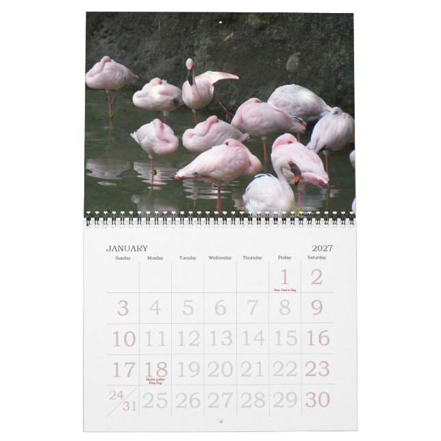 Calendrier 2011 oiseaux (Jan 2027)