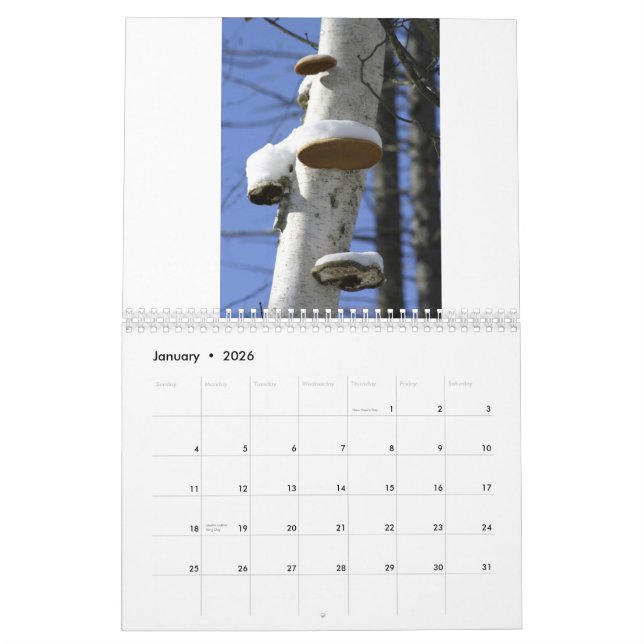 Calendrier 2012 (Jan 2026)