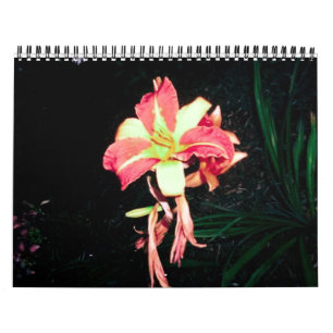 Calendrier 2012