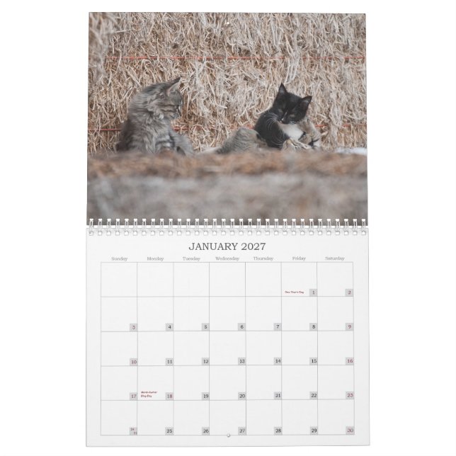 Calendrier 2012 chatons de ranch de puits (Jan 2027)