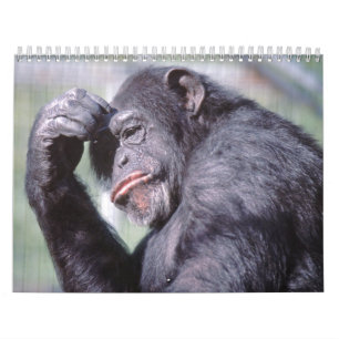 Calendrier 2012 d'animaux sauvages