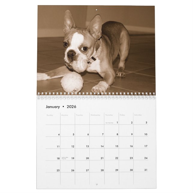 Calendrier 2012 de Boston Terrier (Jan 2026)
