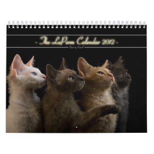 Calendrier 2012 de chat