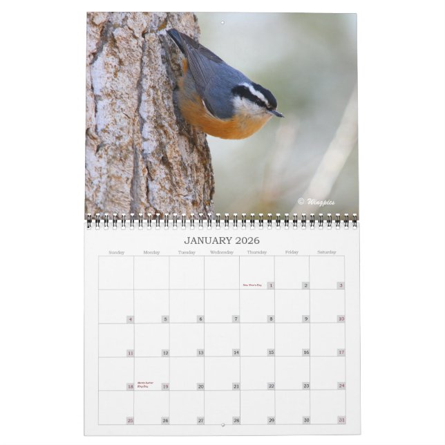Calendrier 2012 d'oiseaux de chanson de Wingpics (Jan 2026)