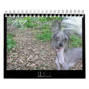 calendrier 2012 pour chiens sans cheveux