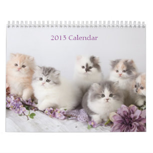 Calendrier 2013