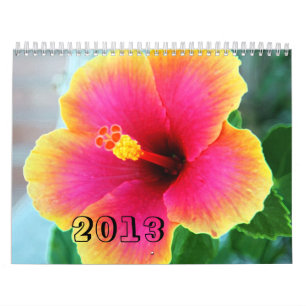 CALENDRIER 2013