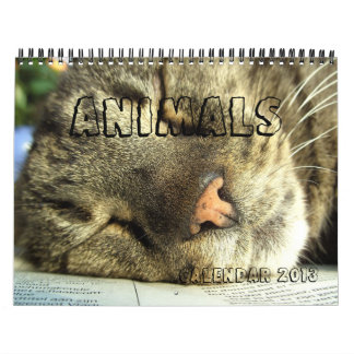 Calendrier 2013 - Animaux