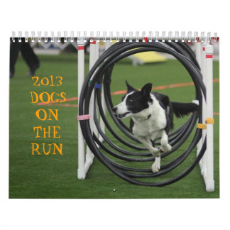 Calendrier 2013 chiens sur la course
