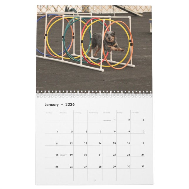 Calendrier 2013 chiens sur la course (Jan 2026)