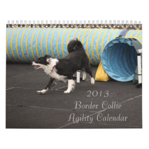 Calendrier 2013 d'agilité de border collie