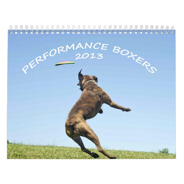 Calendrier 2013 de boxeur de représentation (Protection)