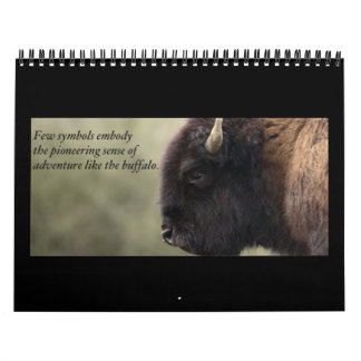 Calendrier 2013 de Buffalo