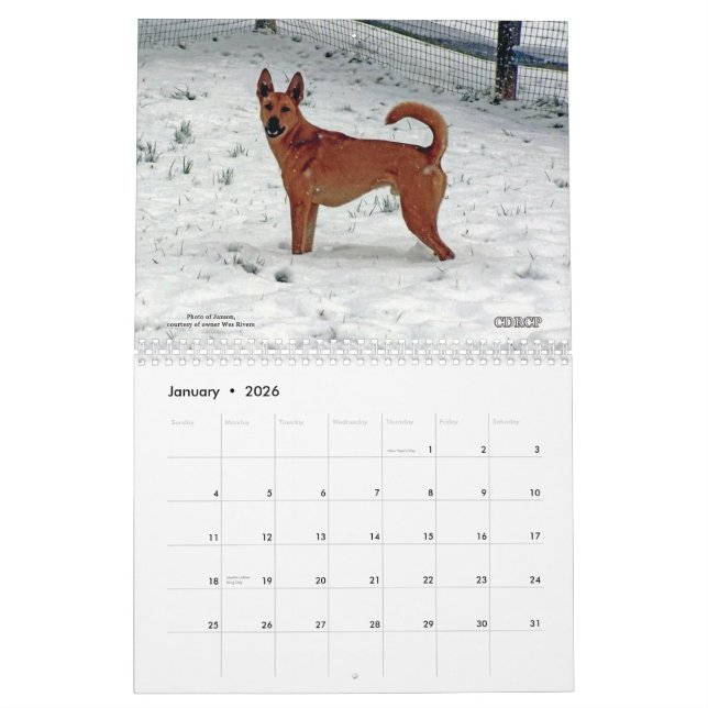 Calendrier 2013 de chien de la Caroline (Jan 2026)