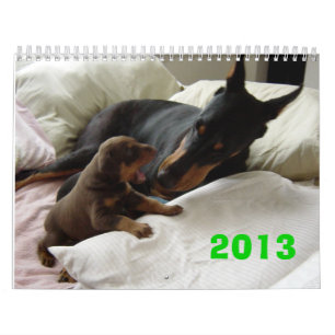 Calendrier 2013 de dobermann