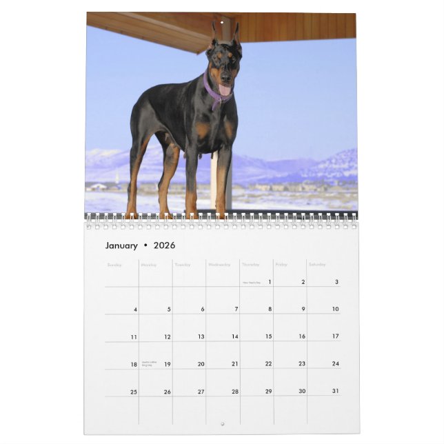 Calendrier 2013 de dobermann (Jan 2026)