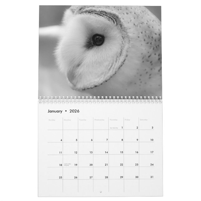 CALENDRIER 2013 DE FAUNE PAR DES PHOTOS DE MAYES (Jan 2026)